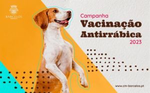 Vacinação Antirrábica e Colocação de MicroChip - Feitos