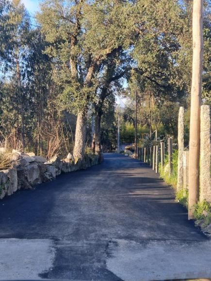 Pavimenta&ccedil;&atilde;o da Travessa de Dom Godinho, em Vila Cova