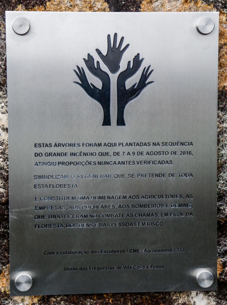 Homenagem aos Combatentes do Grande Incêndio de 2016